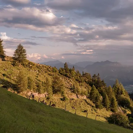Bed & Breakfast Buchackeralm Blackangusalm Angerberg (Tyrol)
