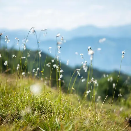 Buchackeralm -1,5h Panoramic Walk *