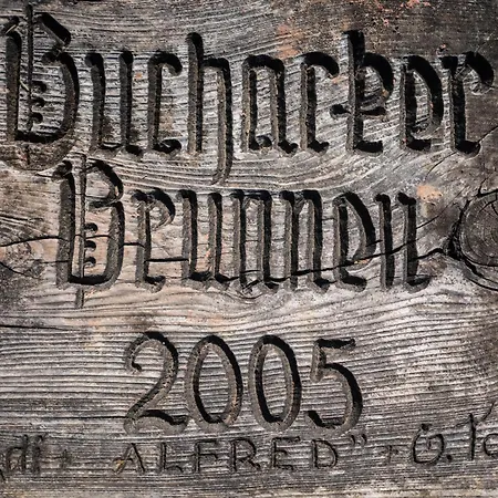 Buchackeralm -1,5h Panoramic Walk Bed & Breakfast *