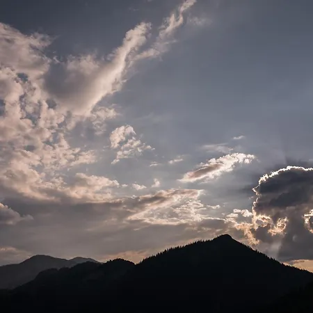 Bed & Breakfast Buchackeralm -1,5h Panoramic Walk *