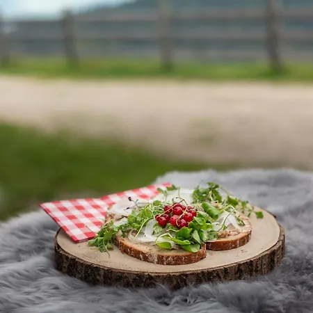 Buchackeralm Blackangusalm Bed & Breakfast *