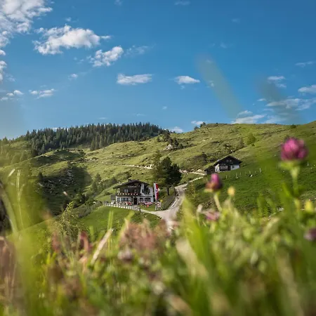 Bed & Breakfast Buchackeralm -1,5h Panoramic Walk *