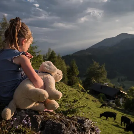 B&B Buchackeralm -1,5h Panoramic Walk Angerberg (Tyrol)