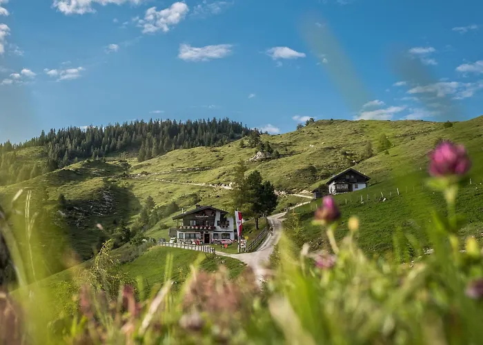 Bed and Breakfast Buchackeralm -1,5h Panoramic Walk *