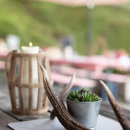 Buchackeralm -1,5h Panoramic Walk *