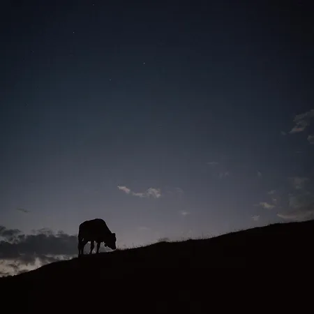 Buchackeralm -1,5h Panoramic Walk לינה וארוחת בוקר Angerberg (Tyrol)