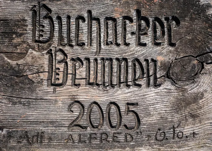 Buchackeralm -1,5h Panoramic Walk 住宿加早餐酒店 *