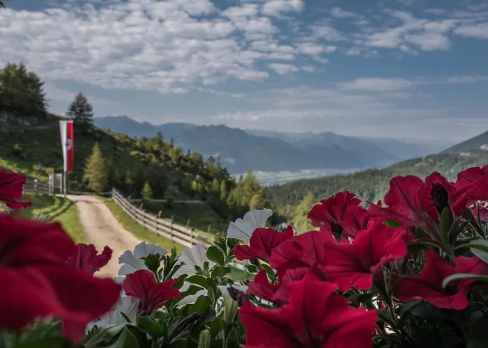 Buchackeralm -1,5h Panoramic Walk 住宿加早餐酒店 Angerberg (Tyrol)