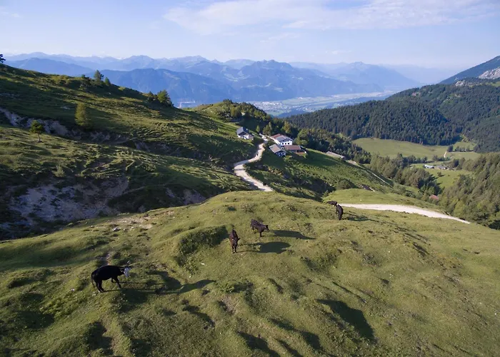 Buchackeralm -1,5h Panoramic Walk *