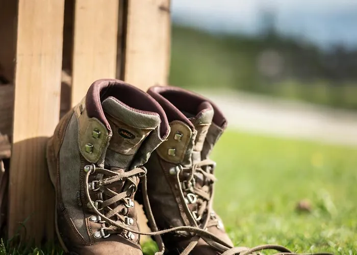 Buchackeralm -1,5h Panoramic Walk *